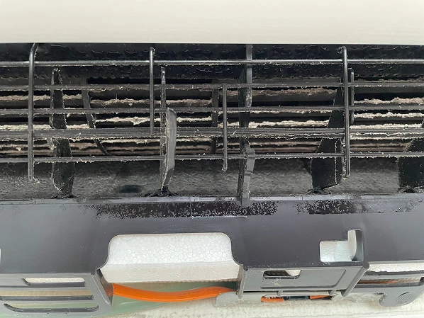 PHOTO-2025-07-24-12-02-46-1 2