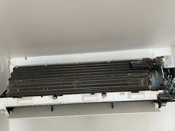 PHOTO-2025-07-24-12-02-46-4 2